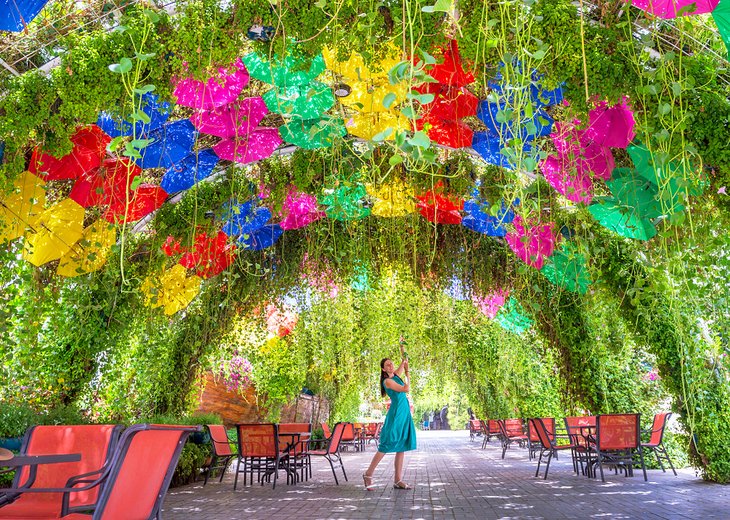 Dubai Miracle Garden's umbrella tunnel