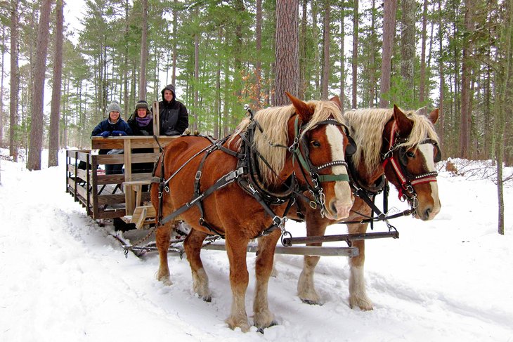 Horse-drawn sleigh ride