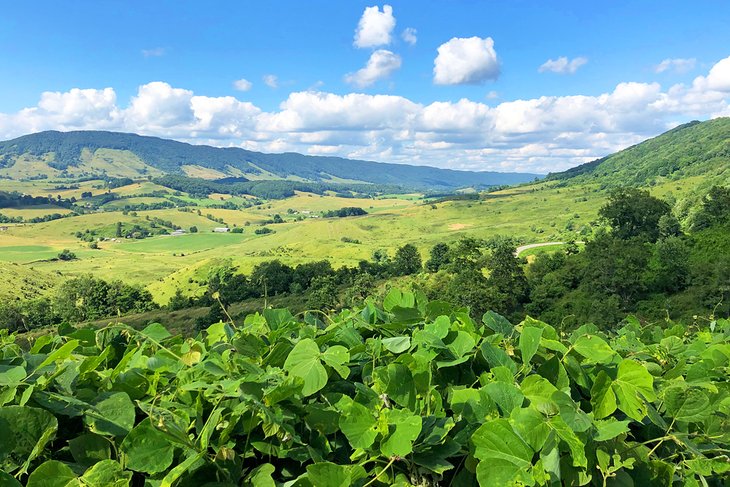 Beautiful views along the Back of the Dragon route, Tazewell