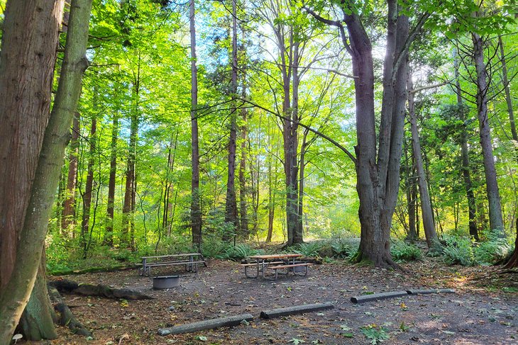 Campsite in Birch Bay State Park