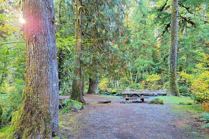 Douglas Fir Campground, Mount Baker Highway