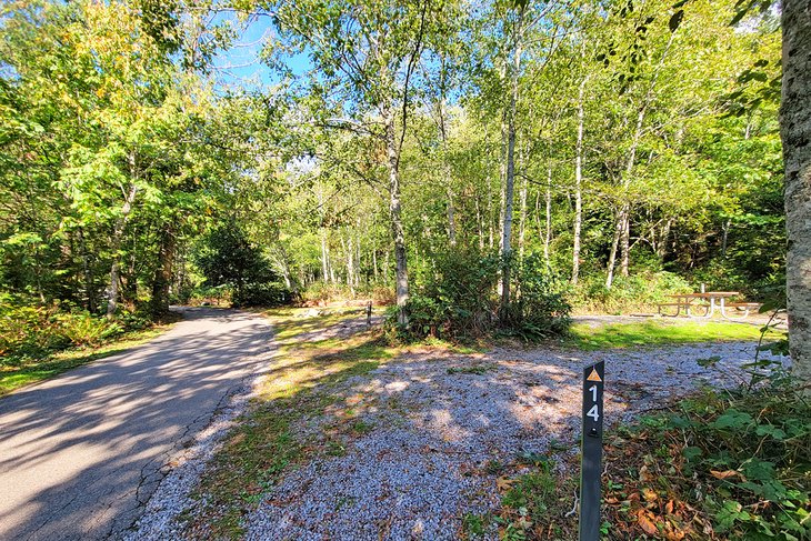 Larrabee State Park campsite