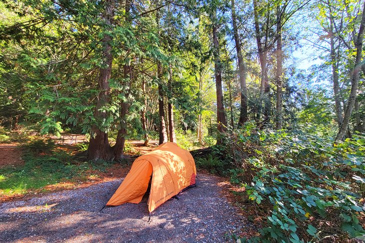 Tent in Larrabee State Park