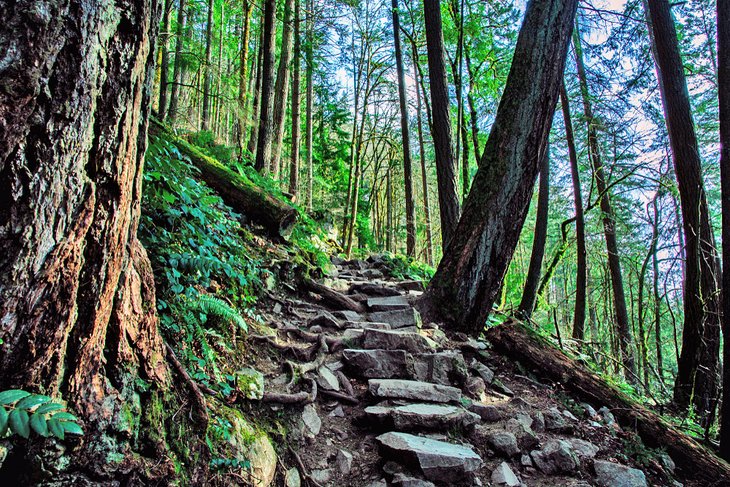 Trail to Poo-Poo Point