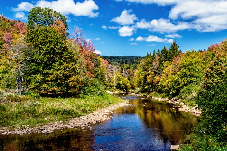 Fall colors along the Cheat River