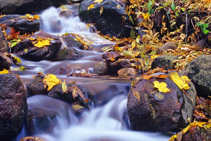 Parfrey's Glen Trail