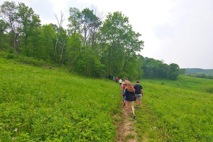 Welsh Hills Trail