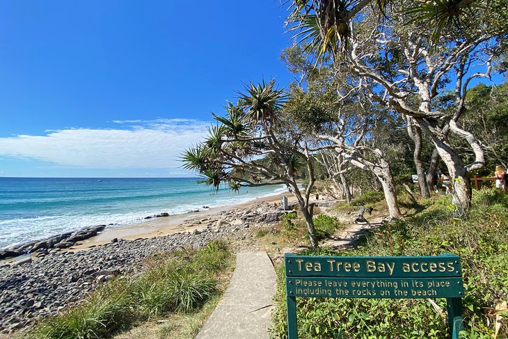 Tea Tree Bay
