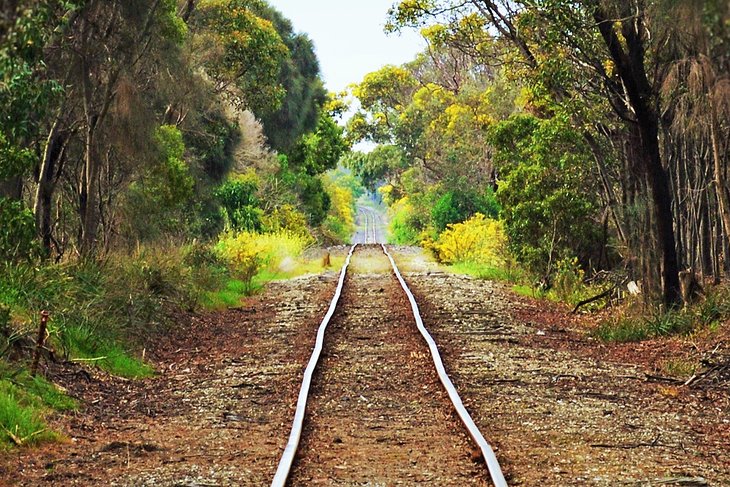 Bellarine Rail Trail