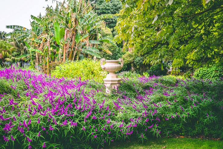 Geelong Botanic Gardens