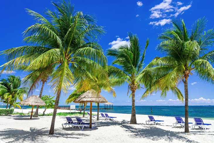 Tropical beach in Cancun