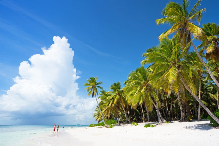 Saona Island in Punta Cana, Dominican Republic