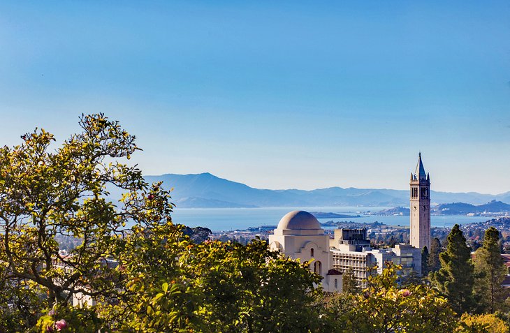 View of Berkeley and Sather Tower on the U.C. Berkeley campus