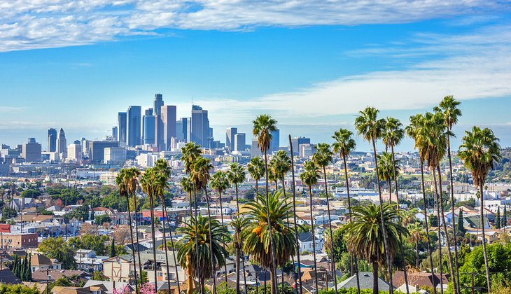 View of palm trees and downtown Los Angeles