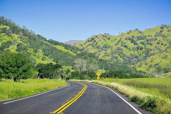 Lush hills in Napa Valley