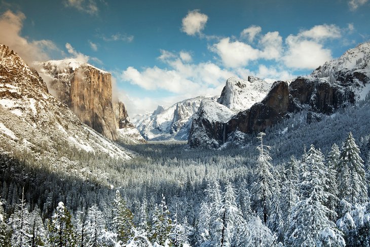 Yosemite National Park