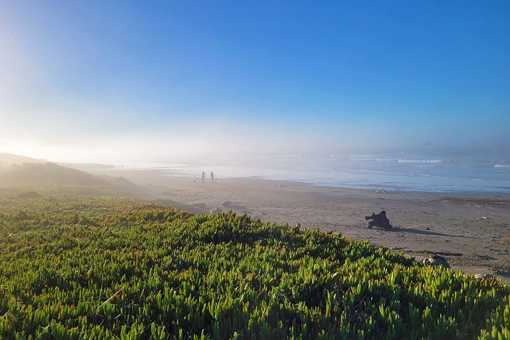 Pebble Beach