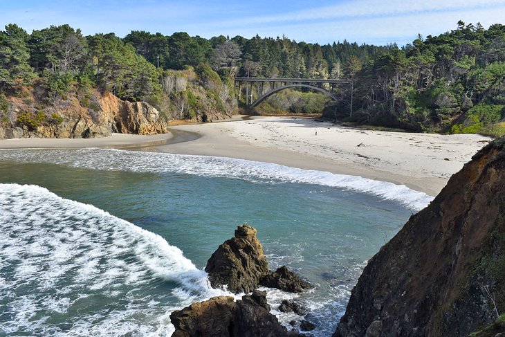 Jug Handle Beach