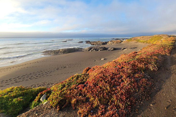 Main Beach at MacKerricher State Park