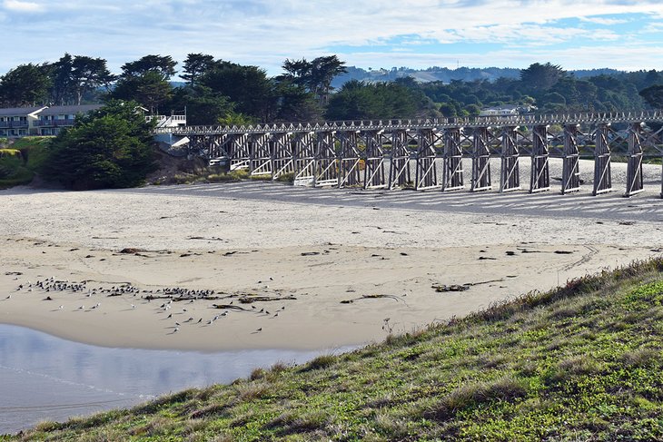 Pudding Creek Beach