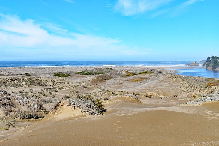 10 mejores playas cerca de Fort Bragg, CA