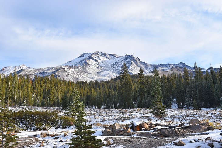 Mount Shasta from Bunny Flat Trailhead