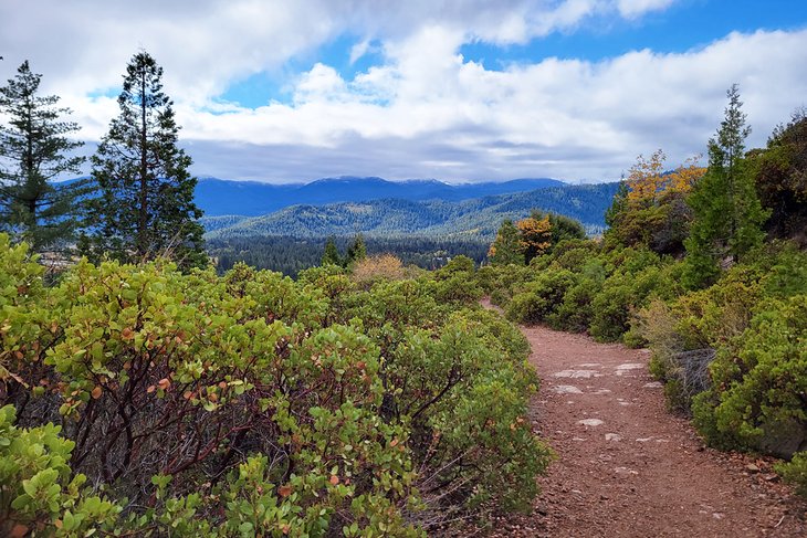 Las 10 mejores rutas de senderismo cerca de Mt. Shasta, CA