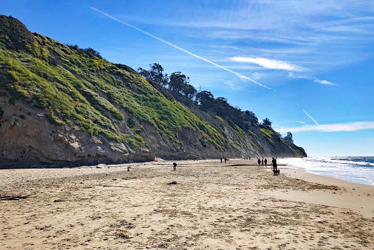 Arroyo Burro (Hendry's) Beach below the Douglas Family Preserve