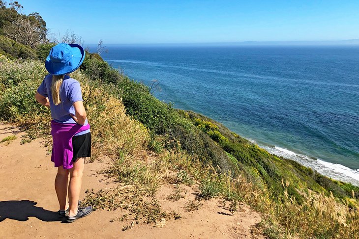 Gazing out at the Pacific Ocean from the Douglas Family Preserve