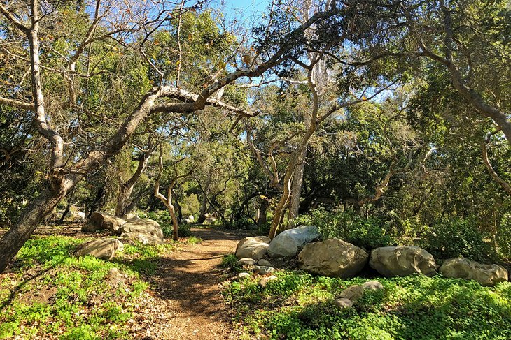 Ennisbrook Preserve