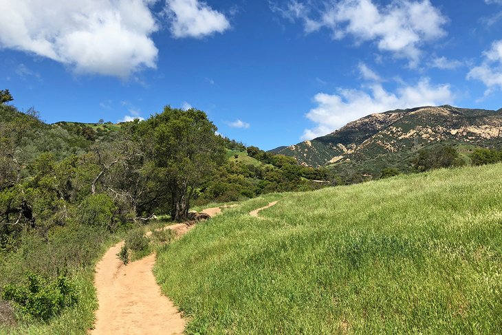 A Santa Barbara hiking trail after winter rains