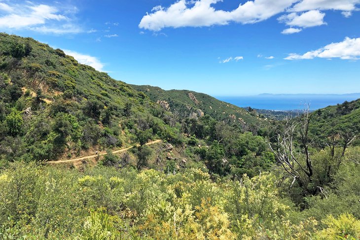 Canyon view from the Seven Falls trail