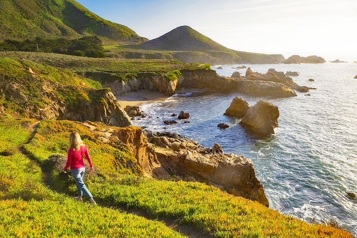 Hiking trail in Big Sur