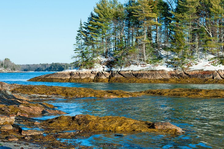 Winter at Wolfe's Neck State Park, Freeport