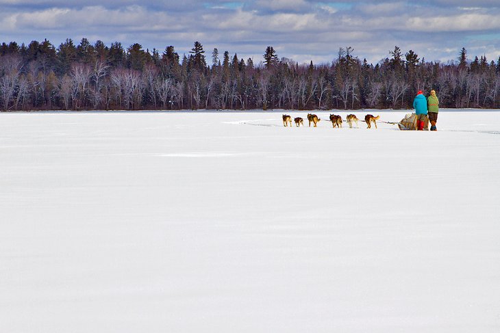 Dogsledding on a frozen lake in Maine