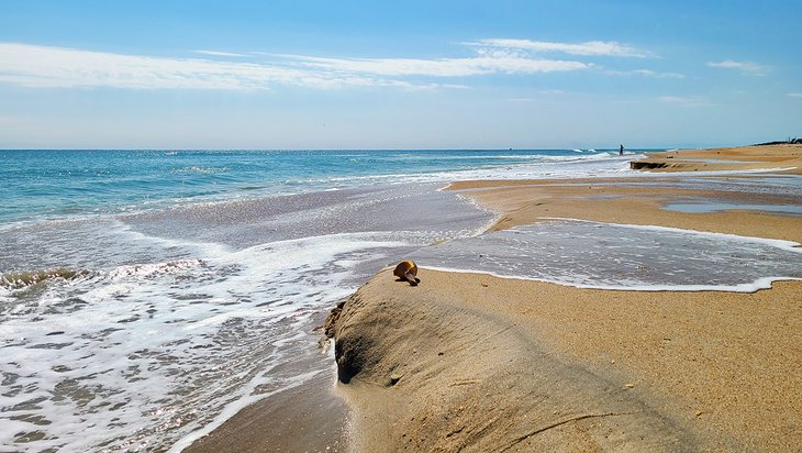 The beach at Frisco