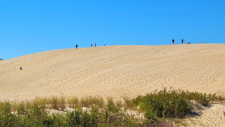 Dunes de sable au parc d'État de Jockey's Ridge
