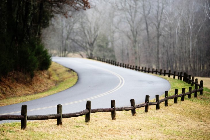 Los 14 mejores campamentos cerca de Nashville, TN