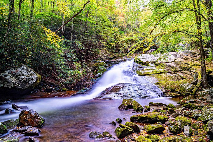 Cascade near Townsend