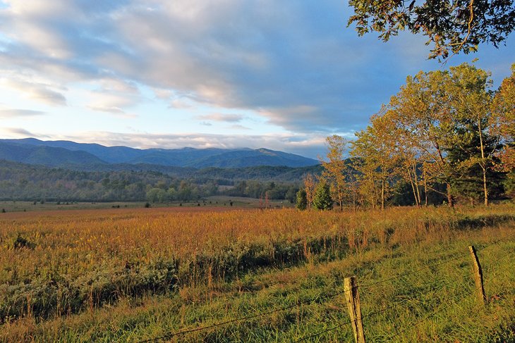 Cades Cove Loop Road