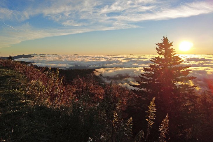 Sunrise on Clingmans Dome