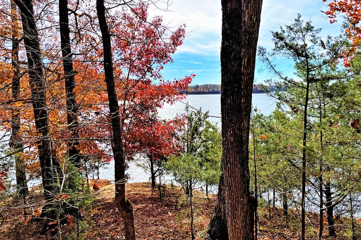 View from lakeside trail near Poole Knobs Campground