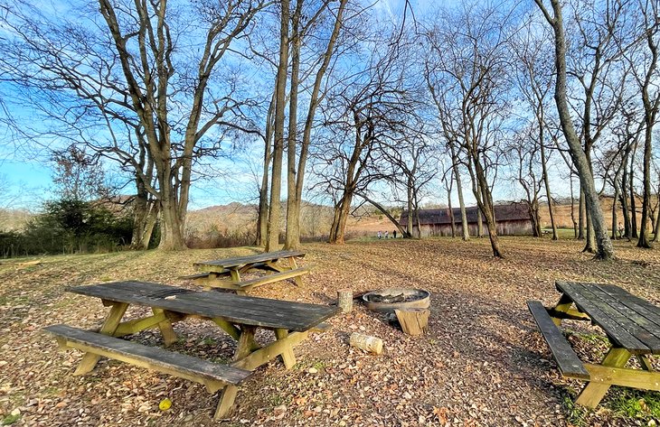 Bells Bend tenting area