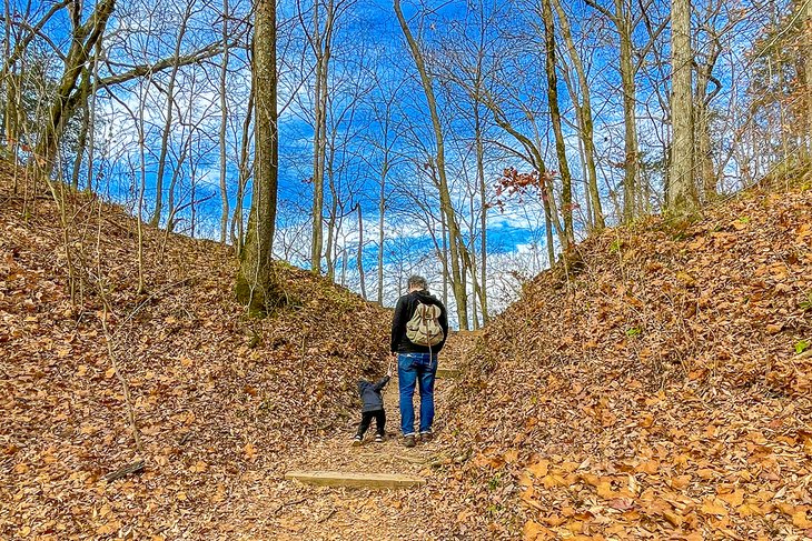 Hiking near Nashville