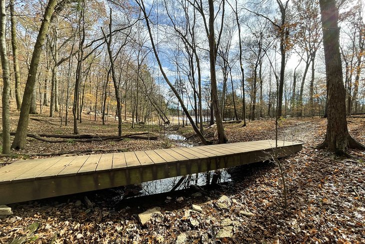 Volunteer Trail Day Loop