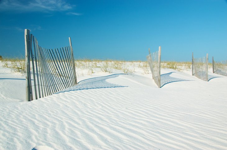 Sand dunes in Gulf State Park, Gulf Shores, Alabama