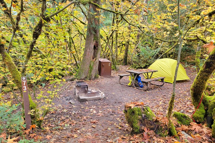Colonial Creek campsite
