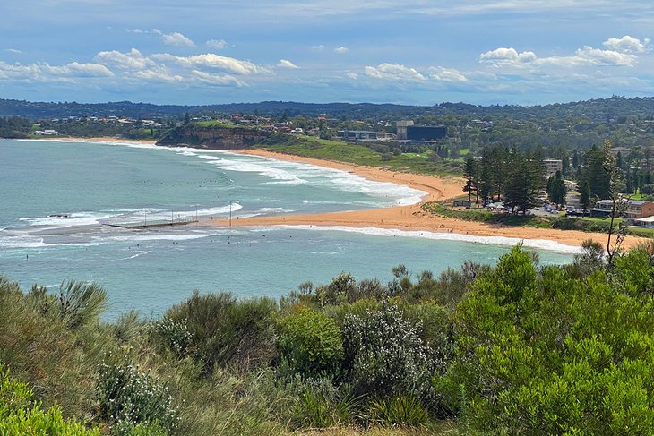 View over Basin Beach and Mona Vale Beach