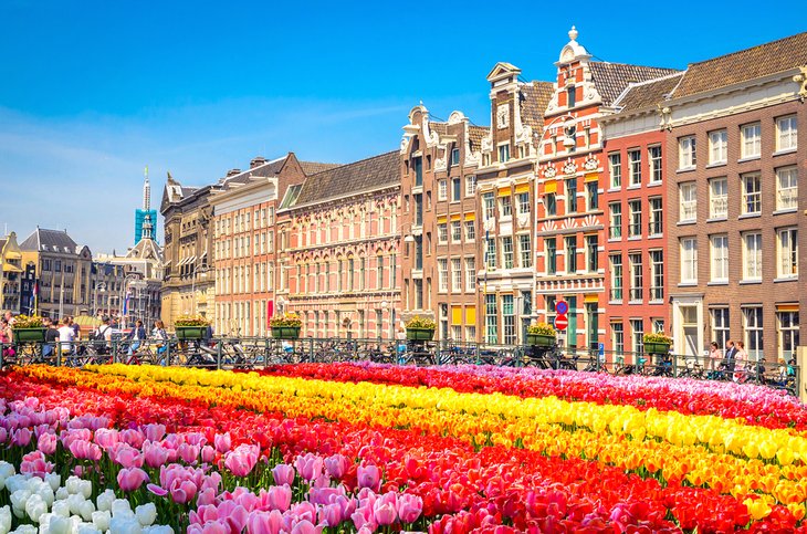 Springtime in Amsterdam, Netherlands