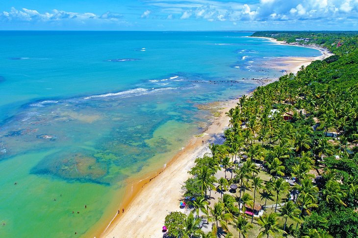 Aerial view of a palm-lined beach in Trancoso